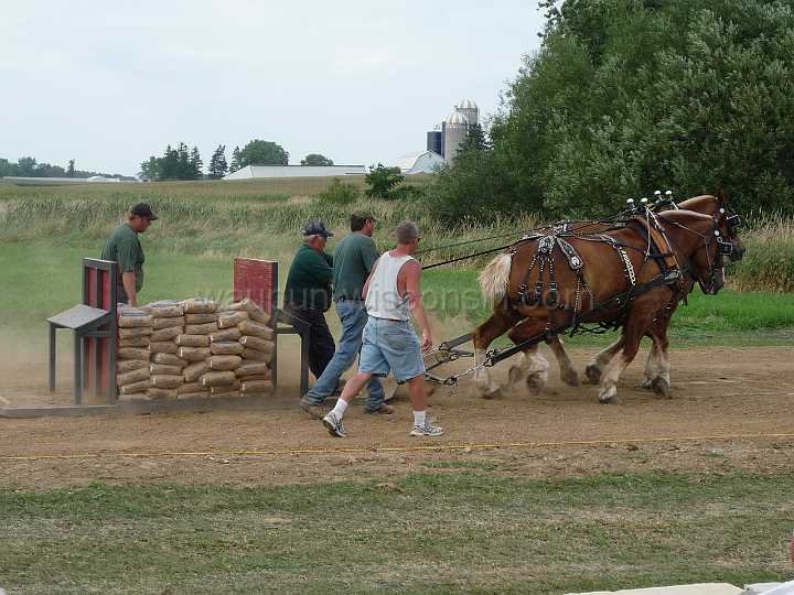 alto-fair-horse-pull-2009-627