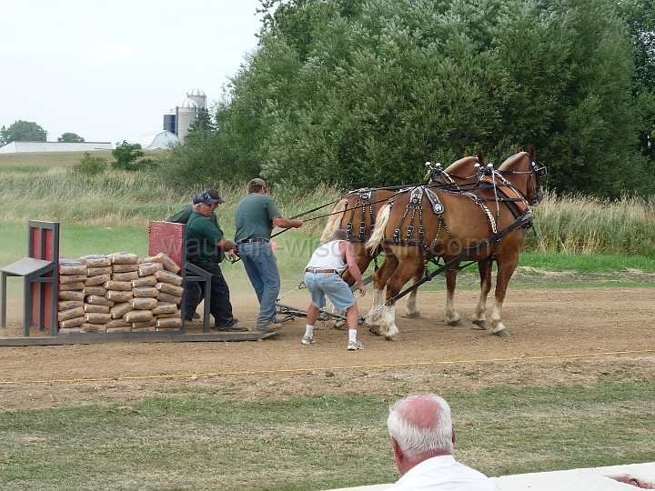 alto-fair-horse-pull-2009-630