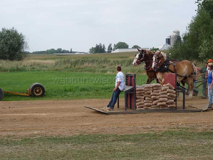 alto-fair-horse-pull-2009-640