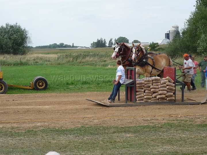 alto-fair-horse-pull-2009-641