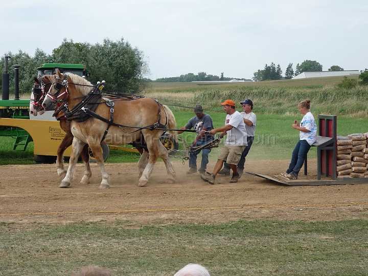 alto-fair-horse-pull-2009-646