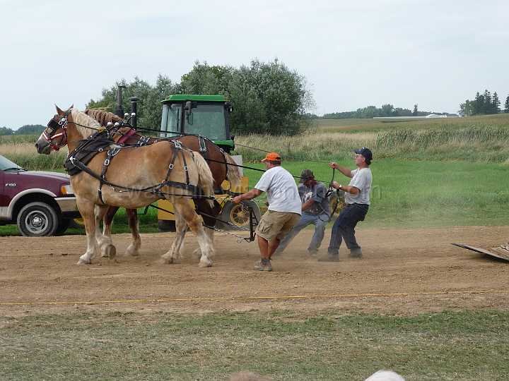 alto-fair-horse-pull-2009-648