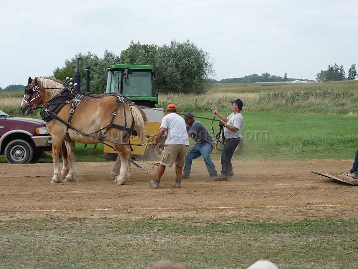 alto-fair-horse-pull-2009-650