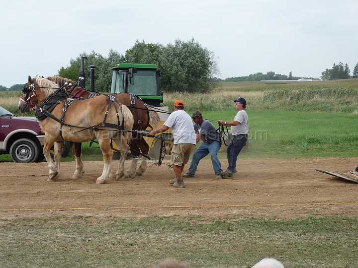 alto-fair-horse-pull-2009-651