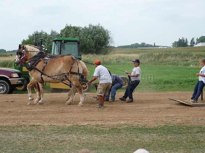 alto-fair-horse-pull-2009-655