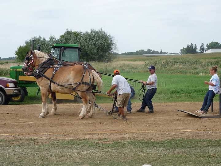 alto-fair-horse-pull-2009-656