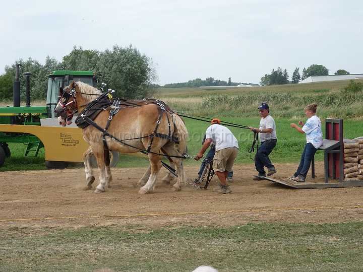 alto-fair-horse-pull-2009-659