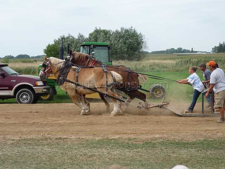 alto-fair-horse-pull-2009-665