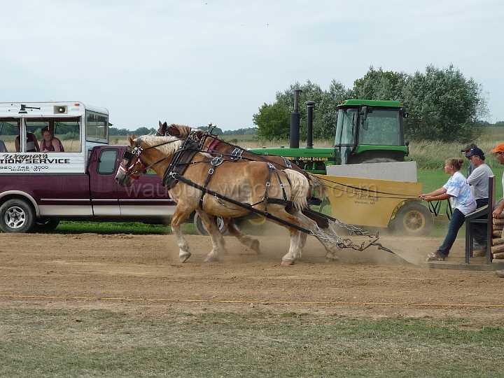 alto-fair-horse-pull-2009-668
