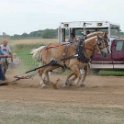alto-fair-horse-pull-2009-603