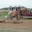 alto-fair-horse-pull-2009-604