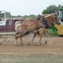 alto-fair-horse-pull-2009-607