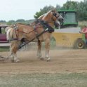 alto-fair-horse-pull-2009-610