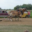 alto-fair-horse-pull-2009-611