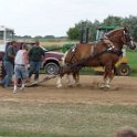alto-fair-horse-pull-2009-617