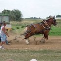 alto-fair-horse-pull-2009-622