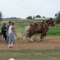 alto-fair-horse-pull-2009-624