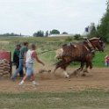 alto-fair-horse-pull-2009-625