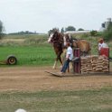 alto-fair-horse-pull-2009-642