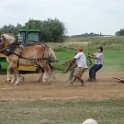 alto-fair-horse-pull-2009-647