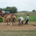 alto-fair-horse-pull-2009-657