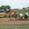 alto-fair-horse-pull-2009-661