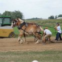 alto-fair-horse-pull-2009-662