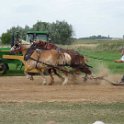 alto-fair-horse-pull-2009-664