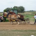 alto-fair-horse-pull-2009-665