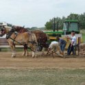 alto-fair-horse-pull-2009-674