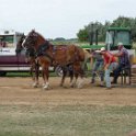 alto-fair-horse-pull-2009-677