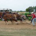 alto-fair-horse-pull-2009-683