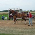 alto-fair-horse-pull-2009-685